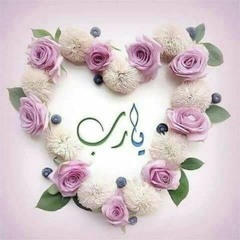 كل الناس بيقولو يا رب