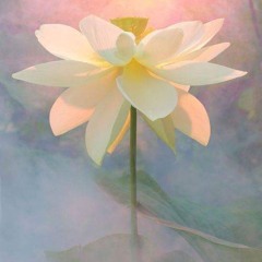 Eng - Day2 - The Source of Purity - The Royalty Of Purity