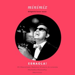 Minimix "delightful house music" mixed & selected by ESNAOLA!
