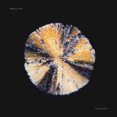 PREMIERE : DaysofType - Amalgam