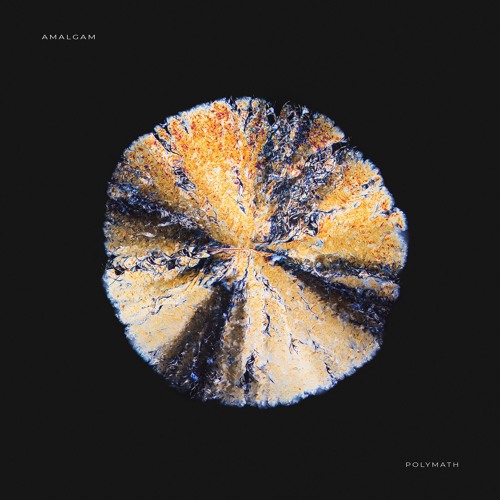 PREMIERE : DaysofType - Amalgam