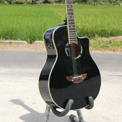 One Piece Ending1 - Memories (acoustic Guitar Solo)