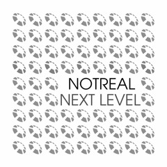 NotReal - Next Level