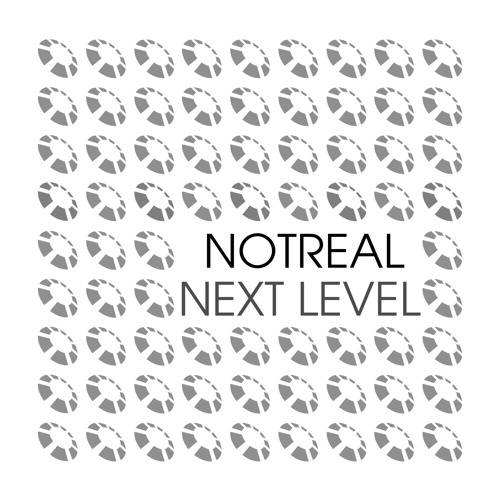 NotReal - Next Level