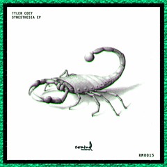 Tyler Coey - South Beach (Original Mix)