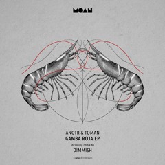 ANOTR, Toman - Locals Only (Original Mix)