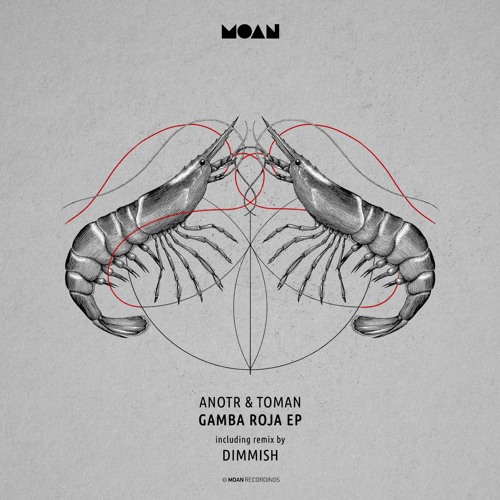 ANOTR, Toman - Locals Only (Original Mix)