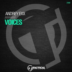 Voices (Original Mix)