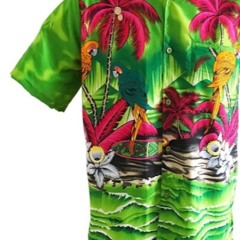 Hawaiian shirt