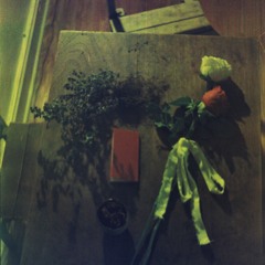 De cara a la pared - Lhasa de Sela