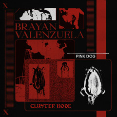 Brayan Valenzuela - You Are Not Perfect [Cluster Node]