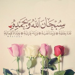 سورة النبأ بصوت القاريء رعد محمد الكردي