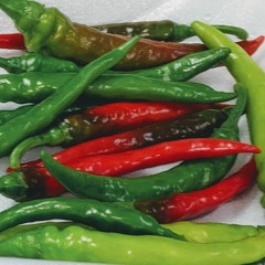 Shanti Hot Pepper Fest this Saturday at Exchange House
