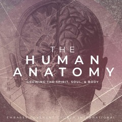 Human Anatomy - Part 1 (6-10-2018)