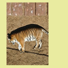 Little Fury Things (Dinosaur Jr. Cover)