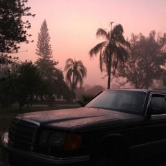 Summer Samples 2k19 3/4 (s/by ZuluGangBitch + We1less)