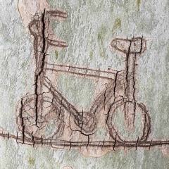 Drehwurm