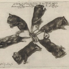 Six Brave Mice