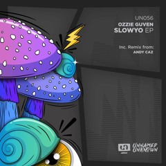 Ozzie Guven - Slowyo (Original Mix) Preview