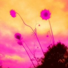 Hope Repentant w/Gautam Karnik mixed by bitzone f. poetry of Fahmida Riaz