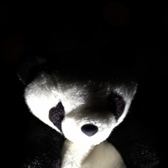 without a trace (prod scryer)