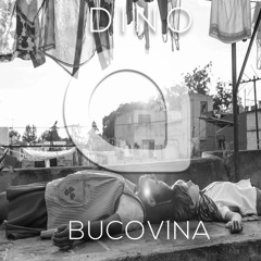Bucovina (Original Mix) Hyppedit Main Charts #1