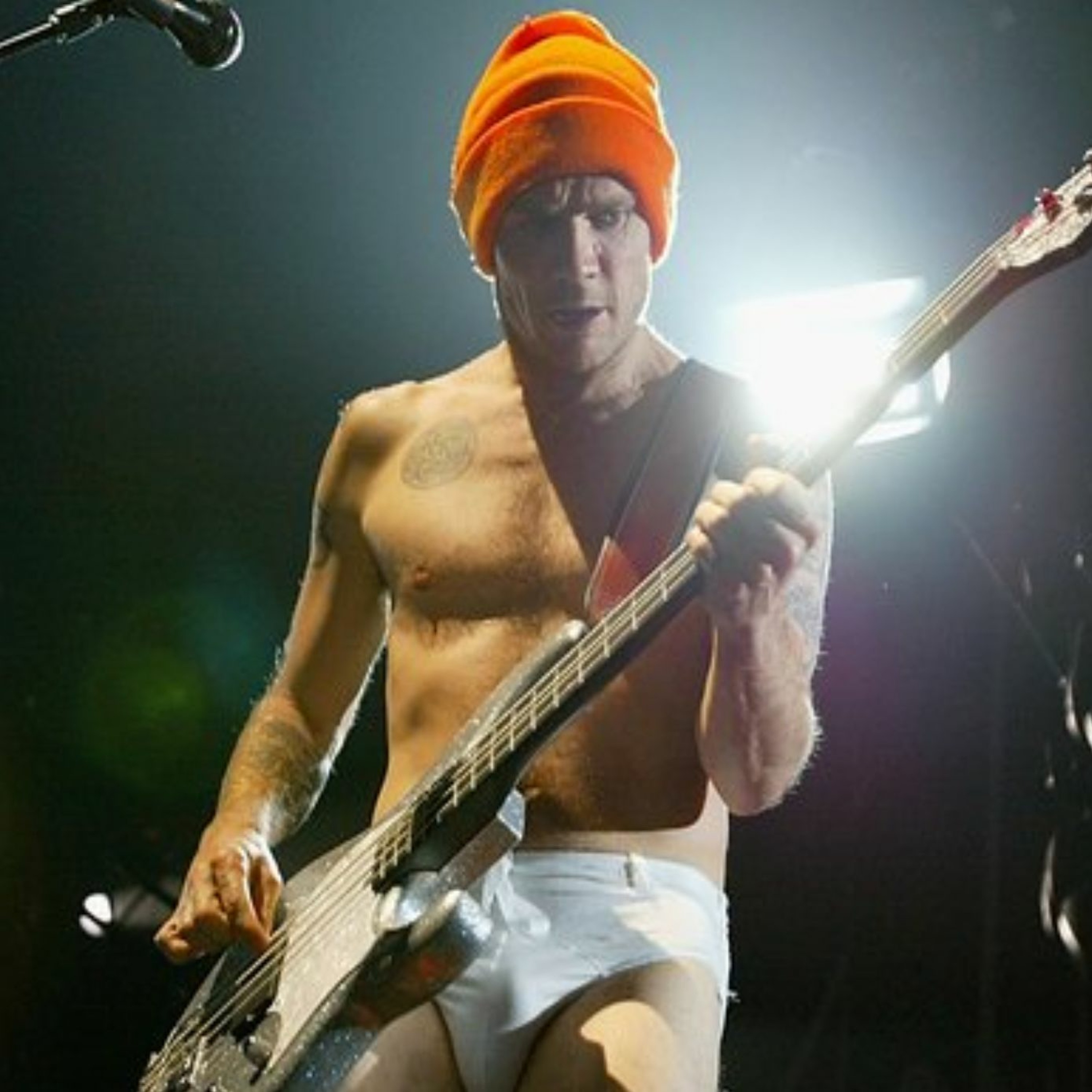 Steve Dagskrá