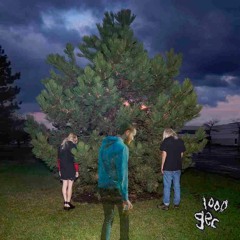 stupid horse remix (100 gecs)