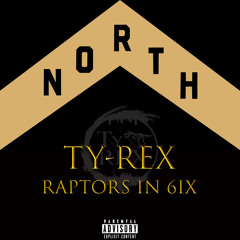 RAPTORS IN 6IX