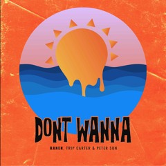 Don't Wanna ft. Peter $un & Trip Carter