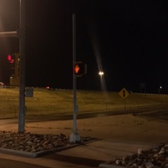 the (demo) night we stayed up till 2 in the morning talking about the future