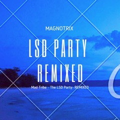 Lsd Party  (Magnotrix)/ Mad Tribe