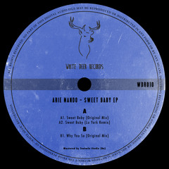 PREMIERE: Arie Mando - Sweet Baby [Original Mix] (WDR010)