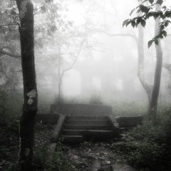 Valkyrie Profile 2 - Divine View Remix (loop)