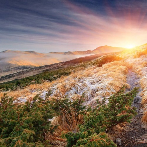 Amanecer (versión Instrumental)