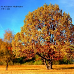 An Autumn Afternoon