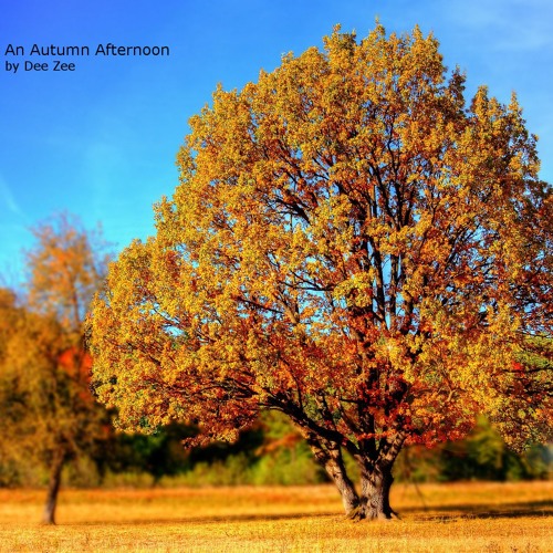 An Autumn Afternoon