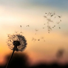 Awareness Of Breathing