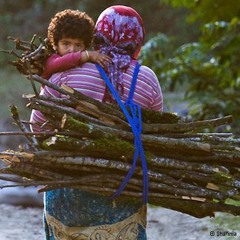 لالایی - علی اکبر رستگار - فولکلوریک مازندرانی