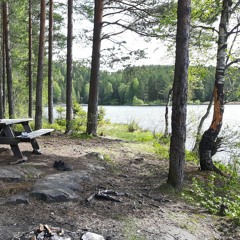 Jam with Stevie Richards and me, May 2019