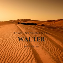 [FEEE] Chill Trap Instrumental | Walter | BLB Prod 2019| Type beat