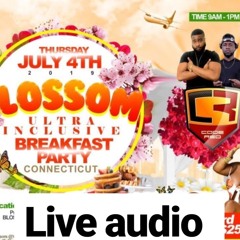 code red sound live @Blossom2019 breakfast party in Connecticut