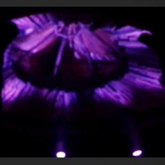 Belle Bête and Cedric Woo B2B at Jaminaround