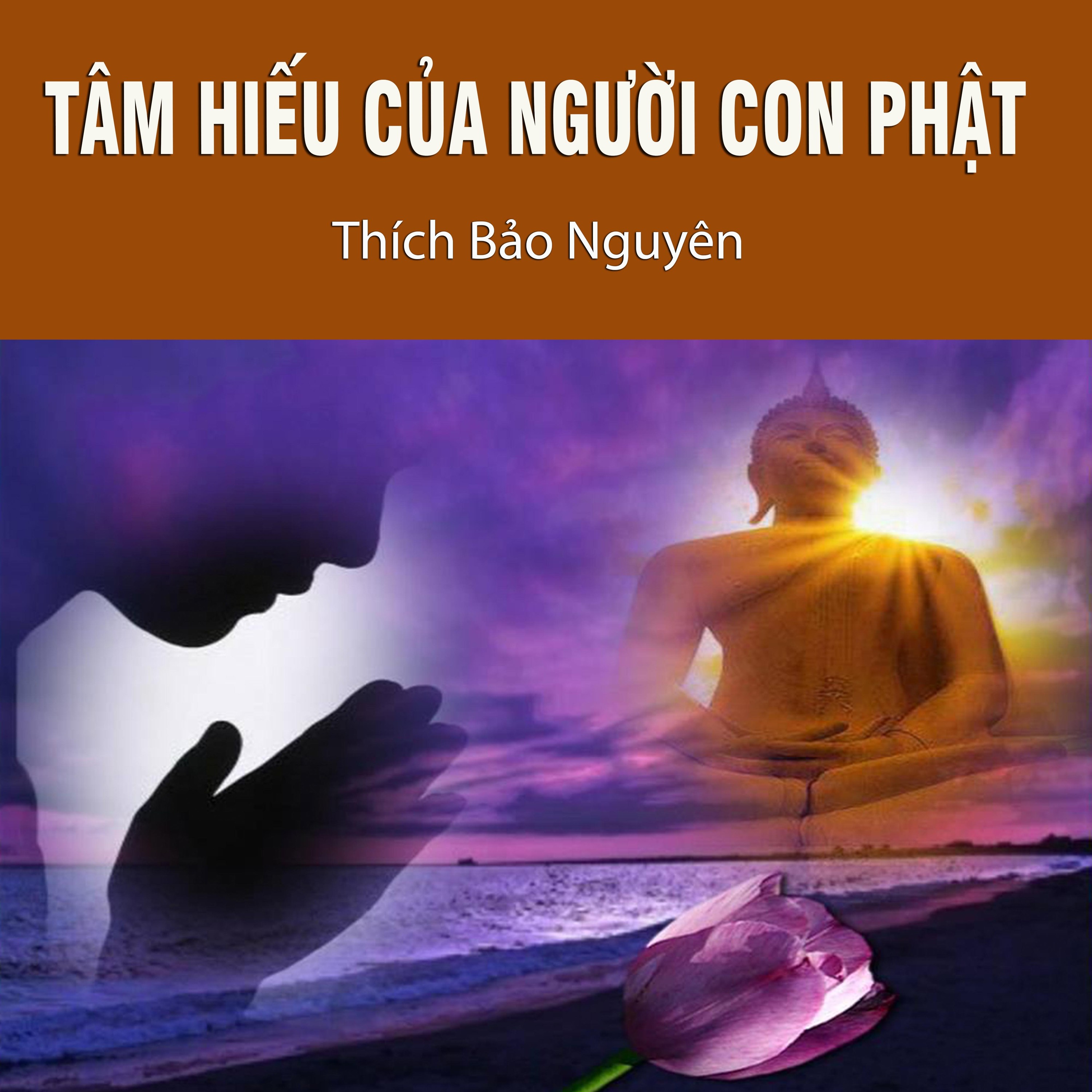 Tâm Hiếu Của Người Con Phật episode artwork