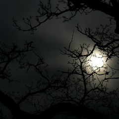 Yalla Bina (Let's Go) - Childhood Song (Dark Version)