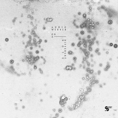 B1 Audio Werner - Darum (Sushitech)