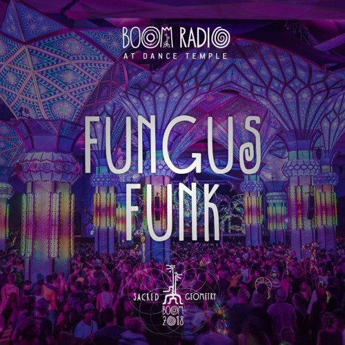 Fungus Funk - Dance Temple 44 - Boom Festival 2018