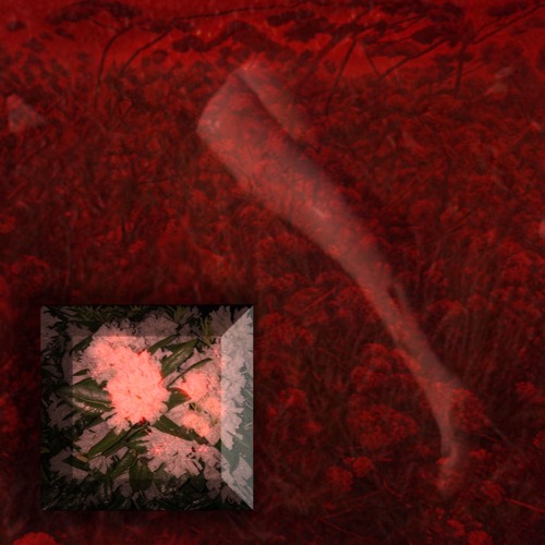Amulet (ft. Jabril & Lil Wintr)
