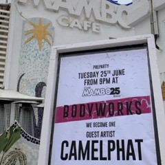 Mambo Live August 2019 with Camelphat