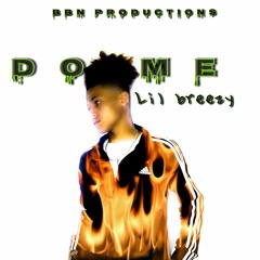 Lil Breezy - Do Me